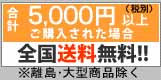 5000MURYOU1112.JPG